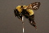  ( - 1313-CHN)  @14 [ ] Unspecified (default): All Rights Reserved  Unspecified Unspecified