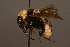  ( - 1815-TUR)  @14 [ ] Unspecified (default): All Rights Reserved  Unspecified Unspecified