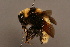  ( - 1826-KAZ)  @13 [ ] Unspecified (default): All Rights Reserved  Unspecified Unspecified