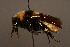  ( - 1827-RUS)  @14 [ ] Unspecified (default): All Rights Reserved  Unspecified Unspecified