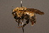  ( - 1857-TUR)  @13 [ ] Unspecified (default): All Rights Reserved  Unspecified Unspecified