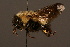  ( - 1872-MON)  @13 [ ] Unspecified (default): All Rights Reserved  Unspecified Unspecified