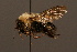  ( - 1874-MON)  @13 [ ] Unspecified (default): All Rights Reserved  Unspecified Unspecified