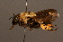  ( - 1910-KYR)  @13 [ ] Unspecified (default): All Rights Reserved  Unspecified Unspecified