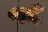  ( - 1924-MON)  @14 [ ] Unspecified (default): All Rights Reserved  Unspecified Unspecified