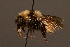  ( - 1991-KAZ)  @15 [ ] Unspecified (default): All Rights Reserved  Unspecified Unspecified