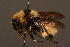  ( - 1992-KAZ)  @15 [ ] Unspecified (default): All Rights Reserved  Unspecified Unspecified