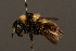  ( - 2523-TUR)  @13 [ ] Unspecified (default): All Rights Reserved  Unspecified Unspecified