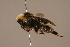  ( - 502-RUS)  @13 [ ] Unspecified (default): All Rights Reserved  Unspecified Unspecified