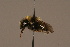  ( - 809-CZE)  @13 [ ] Unspecified (default): All Rights Reserved  Unspecified Unspecified