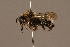  ( - 810-GER)  @13 [ ] Unspecified (default): All Rights Reserved  Unspecified Unspecified