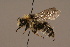  ( - 811-CZE)  @13 [ ] Unspecified (default): All Rights Reserved  Unspecified Unspecified