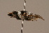  ( - 1550-309-MON)  @12 [ ] Unspecified (default): All Rights Reserved  Unspecified Unspecified