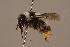  ( - 1550-310-MON)  @13 [ ] Unspecified (default): All Rights Reserved  Unspecified Unspecified