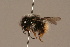  ( - 1550-403-CHN)  @13 [ ] Unspecified (default): All Rights Reserved  Unspecified Unspecified
