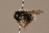  ( - 1550-404-CHN)  @13 [ ] Unspecified (default): All Rights Reserved  Unspecified Unspecified