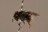  ( - 1550-405-CHN)  @13 [ ] Unspecified (default): All Rights Reserved  Unspecified Unspecified