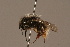  ( - 1550-406-CHN)  @13 [ ] Unspecified (default): All Rights Reserved  Unspecified Unspecified