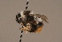  ( - 1550-701-MON)  @11 [ ] Unspecified (default): All Rights Reserved  Unspecified Unspecified