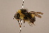 ( - 1551-707-CHN)  @15 [ ] Unspecified (default): All Rights Reserved  Unspecified Unspecified