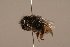  ( - 1551-801-NEP)  @13 [ ] Unspecified (default): All Rights Reserved  Unspecified Unspecified