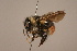  ( - 1550-N561-NEP)  @12 [ ] Unspecified (default): All Rights Reserved  Unspecified Unspecified