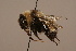  ( - 1945-MON)  @14 [ ] Unspecified (default): All Rights Reserved  Unspecified Unspecified