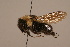  ( - 1946-MON)  @14 [ ] Unspecified (default): All Rights Reserved  Unspecified Unspecified