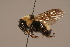  ( - 1550-1949-MON)  @14 [ ] Unspecified (default): All Rights Reserved  Unspecified Unspecified