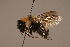 ( - 1550-1954-MON)  @14 [ ] Unspecified (default): All Rights Reserved  Unspecified Unspecified