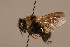  ( - 1956-MON)  @14 [ ] Unspecified (default): All Rights Reserved  Unspecified Unspecified