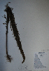  ( - BAB-1110)  @13 [ ] Unspecified (default): All Rights Reserved  Unspecified Unspecified