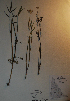  ( - BAB-1280)  @11 [ ] Unspecified (default): All Rights Reserved  Unspecified Unspecified