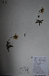  ( - BAB-1788)  @13 [ ] Unspecified (default): All Rights Reserved  Unspecified Unspecified
