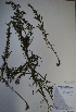  ( - BAB-2647)  @12 [ ] Unspecified (default): All Rights Reserved  Unspecified Unspecified
