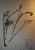  ( - BAB-2920)  @11 [ ] Unspecified (default): All Rights Reserved  Unspecified Unspecified