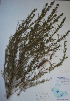  ( - BAB-5164)  @12 [ ] Unspecified (default): All Rights Reserved  Unspecified Unspecified