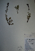  ( - BAB-5177)  @13 [ ] Unspecified (default): All Rights Reserved  Unspecified Unspecified