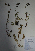  ( - BAB-5228)  @13 [ ] Unspecified (default): All Rights Reserved  Unspecified Unspecified