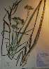  ( - BAB-5750)  @11 [ ] Unspecified (default): All Rights Reserved  Unspecified Unspecified