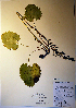  ( - CCDB-18357-G1)  @11 [ ] CreativeCommons - Attribution (2014) Unspecified Unspecified