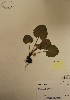  ( - CCDB-21230-A02)  @11 [ ] CreativeCommons - Attribution (2014) Unspecified Unspecified