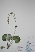  ( - CCDB-21230-A07)  @11 [ ] CreativeCommons - Attribution (2014) Unspecified Unspecified