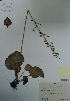  ( - CCDB-21230-B02)  @11 [ ] CreativeCommons - Attribution (2014) Unspecified Unspecified