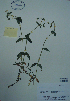  ( - CCDB-21230-B03)  @11 [ ] CreativeCommons - Attribution (2014) Unspecified Unspecified