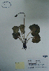  ( - CCDB-21230-C02)  @11 [ ] CreativeCommons - Attribution (2014) Unspecified Unspecified
