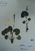  ( - CCDB-21230-E02)  @11 [ ] CreativeCommons - Attribution (2014) Unspecified Unspecified