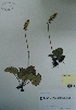  ( - CCDB-21230-H01)  @11 [ ] CreativeCommons - Attribution (2014) Unspecified Unspecified
