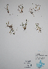  ( - CCDB-21230-H03)  @11 [ ] CreativeCommons - Attribution (2014) Unspecified Unspecified