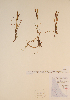  ( - CCDB-23321-B05)  @11 [ ] CreativeCommons - Attribution (2016) Unspecified Unspecified